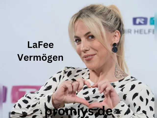 LaFee Vermögen