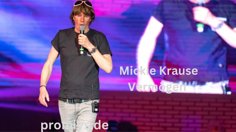 Mickie Krause Vermögen