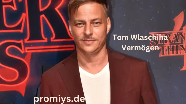 Tom Wlaschiha – Vermögen